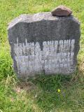 image of grave number 541310